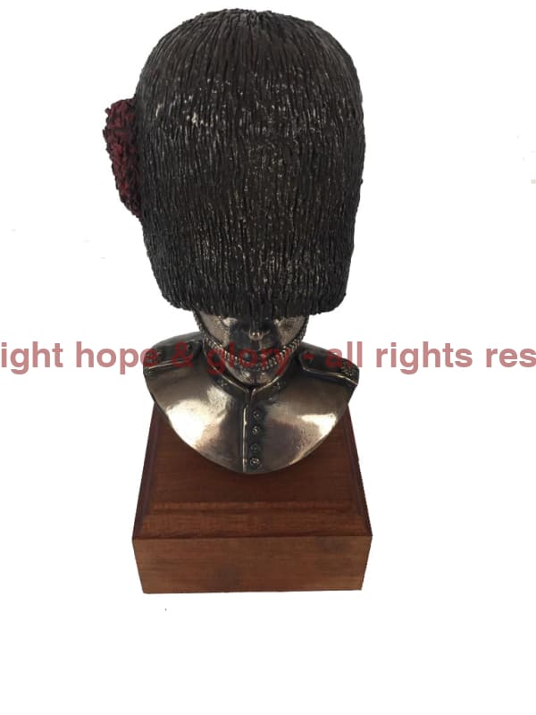 Coldstream Guards Bust Cold Cast Bronze Military Statue Sculpture - Image 5