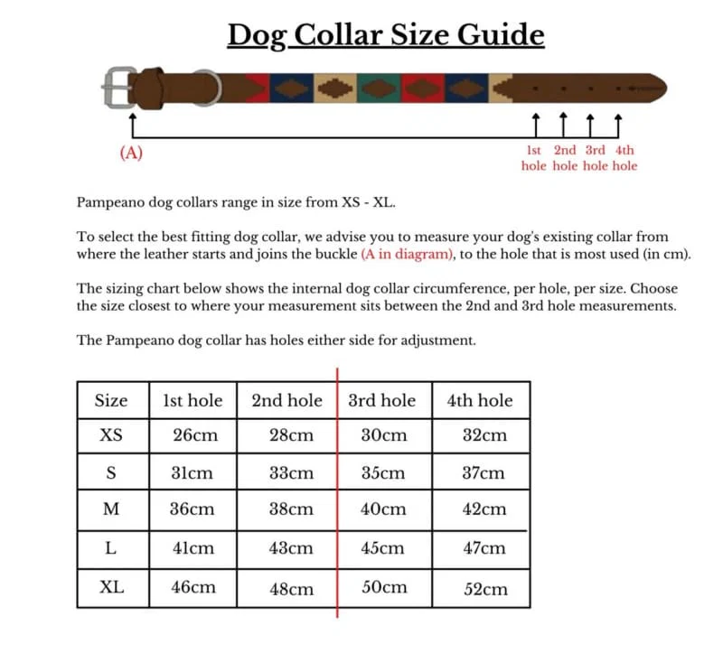 Guards BRB Leather Dog Collar - Image 3